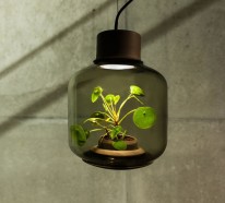 Designerlampen zum Verlieben vereinigen Licht und Pflanzen in Einem