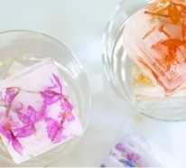 Über 50 Sommer Rezepte und Eiswürfel Kreationen schützen Sie vor der Sommerhitze