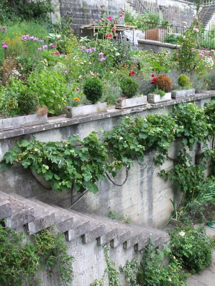 Gartentreppe im Gemüsegarten 