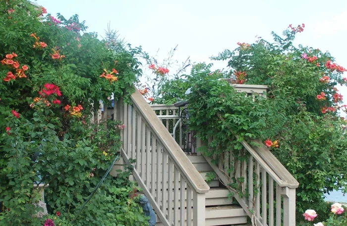 Gartentreppe aus Holz mit Blumen 