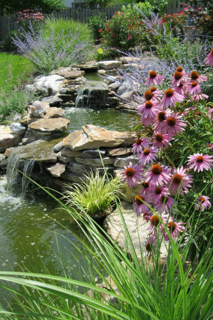 Bilder Gartenteiche Wasserpflanzen Teich stufenartig grüne Wohlfühloase