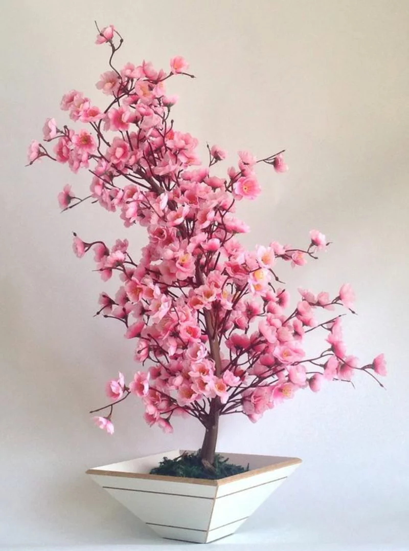 Bonsai Baum kaufen und pflegen Bonsai Cerejeira Rosa