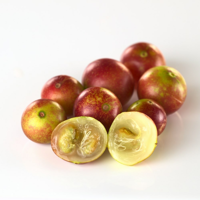 Camu Camu Myrciaria dubia Super Frucht gesunde Ernärung