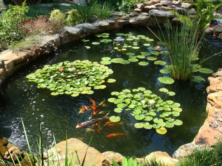 Fischteich mit Wasserpflanzen Gartenteich Bilder klassische Gartenideen mit viel natürlichem Charme 