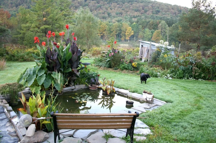 Gartenteich Bilder Gartenideen kleiner Teich mit Gartenpflanzen daneben eine Holzbank