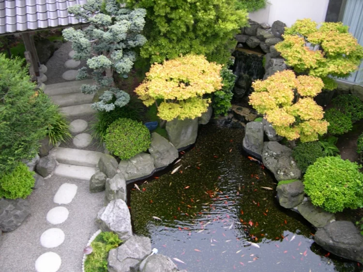 Gartenteich Bilder Gartenideen Wasserpflanzen Teich mit kleinen Fischen