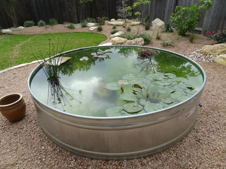 Gartenteich Bilder Gartenideen Wasserpflanzen im Teich rundes Becken 