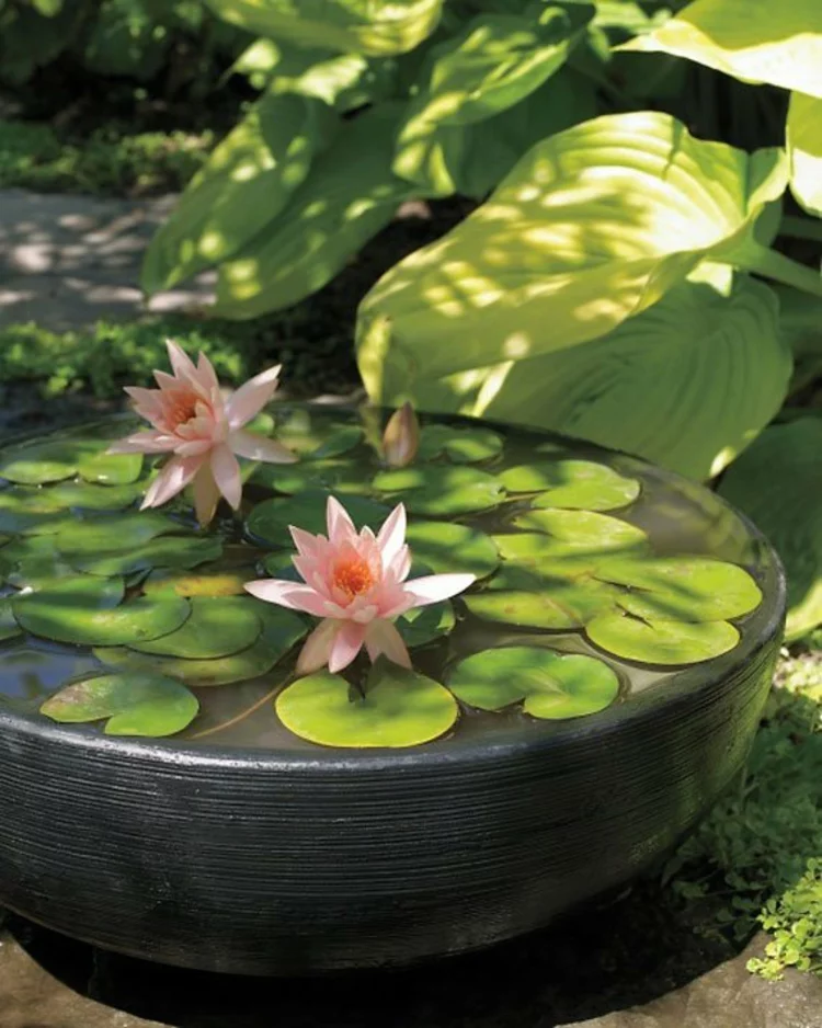 Gartenteich Bilder clevere Gartenideen kleine Wasserquelle Wasserpflanzen Wasserlilie