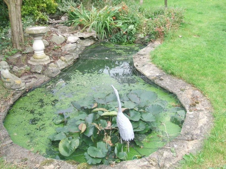 Gartenteich Bilder Gartenstatue Vogel Wasserpflanzen runde Teichform aus Stein