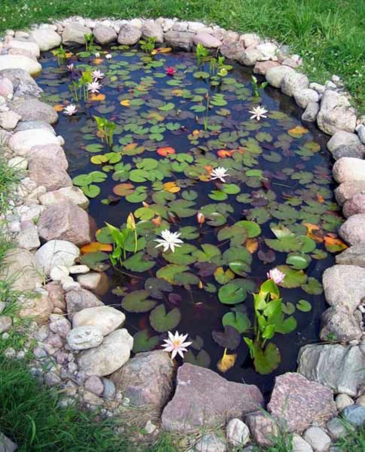 Gartenteiche Gartengestaltung Ideen Wasserpflanzen Lilien