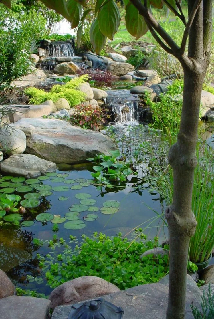 Gartenteich Bilder Wasserpflanzen im Teich Gartengestaltung mit Steinen viel Grün