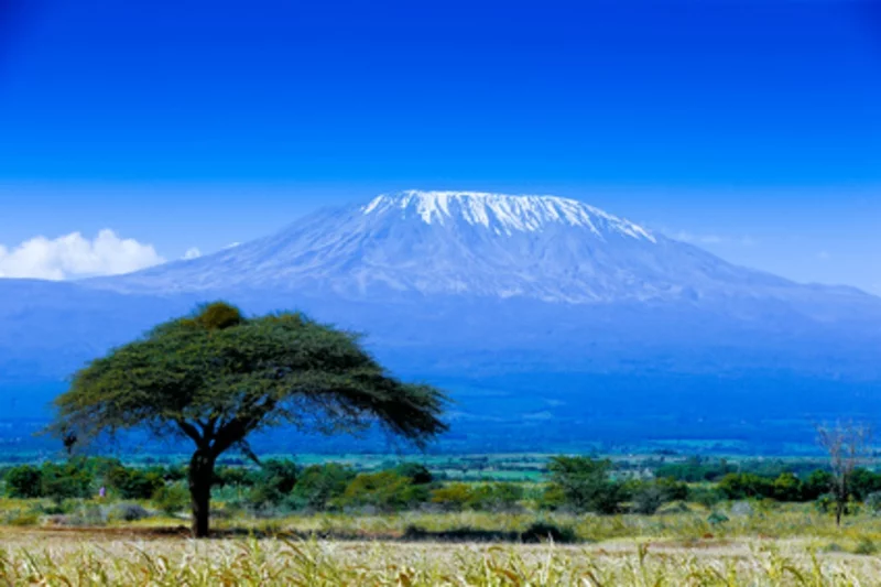 Kilimanjaro Gipfelstürmer Bergsteiger Ziele Bergen aus der ganzen Welt