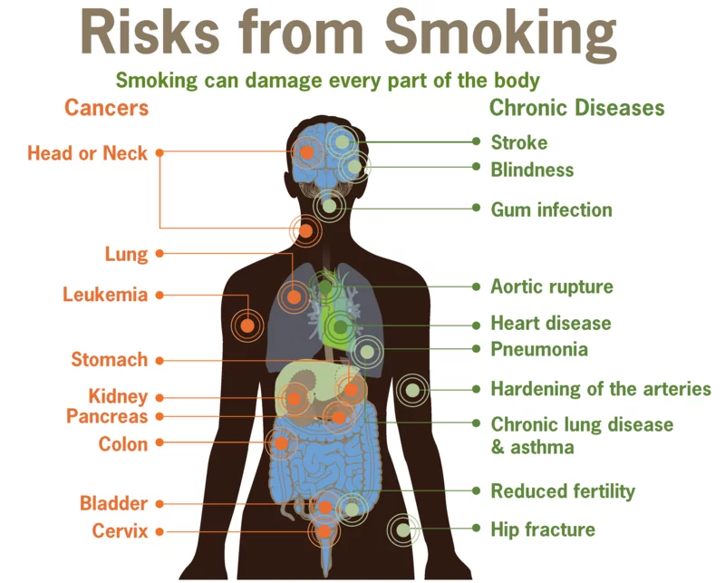 Herzanfall vorbeugen Rauchen Risiken