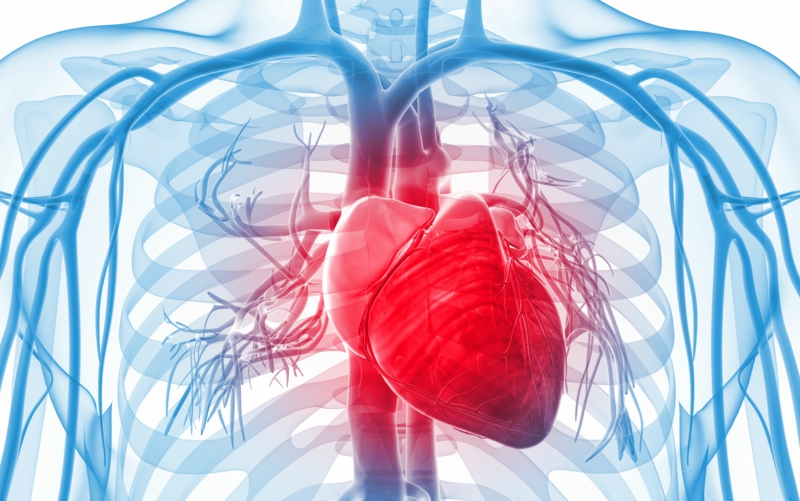 Herzanfall vorbeugen Tipps für gesunndes Leben