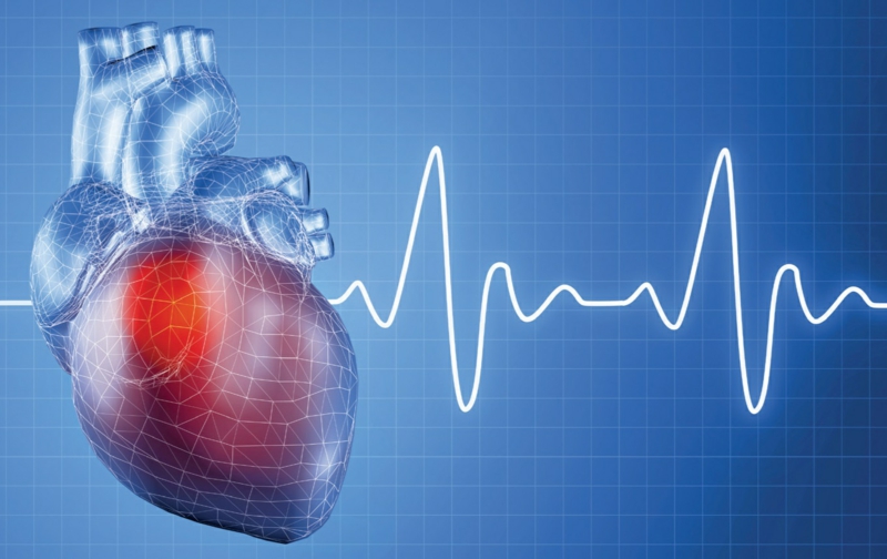 Herzschlag Herzkrankheiten Frauen gesundes Herz