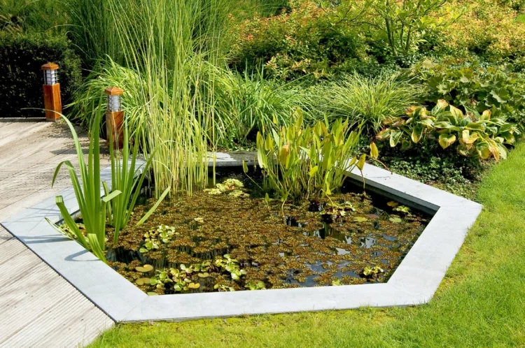 Hinterhof Gartenteich japanischer Garten Ideen Wasserpflanzen im fünfeckiger Form 