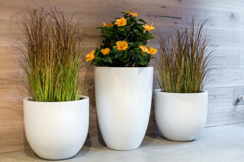 Pflanzkübel Fiberglas weiß verschiedene Größe Zimmerpflanzen