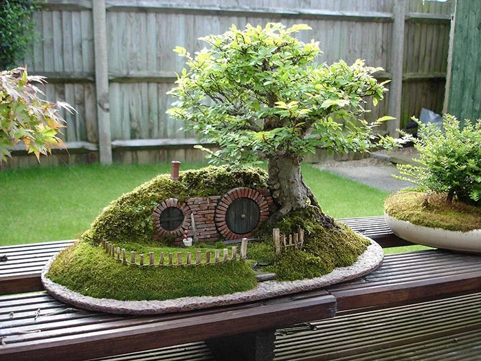 bonsai bäume hobbit hole