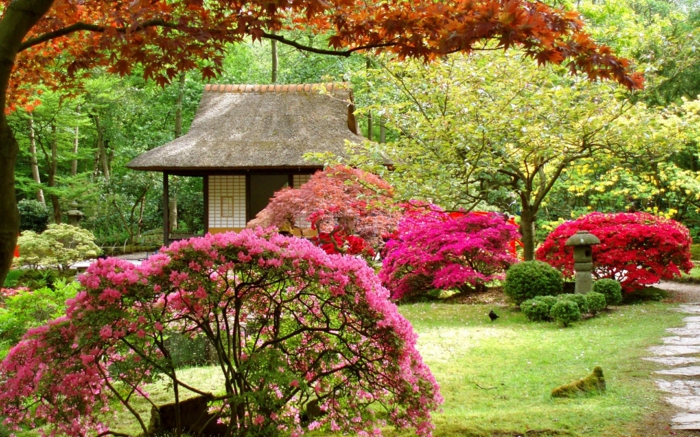 chinesischer garten blütenstäucher gartenhaus pavillion bäume park