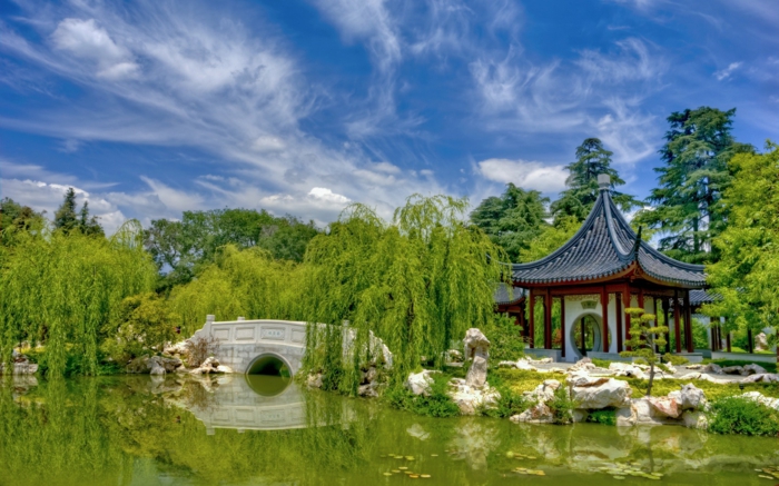 44+ Chinesischer Teich, Beim dehner gartencenter gibt es einen