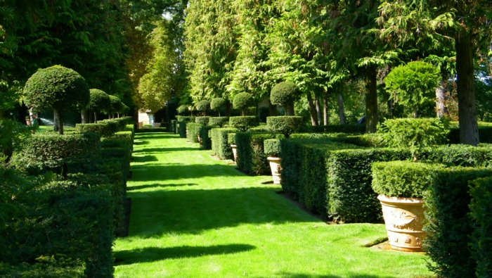 gartengestaltung französische gaten ideen grünes gras buchsbaum
