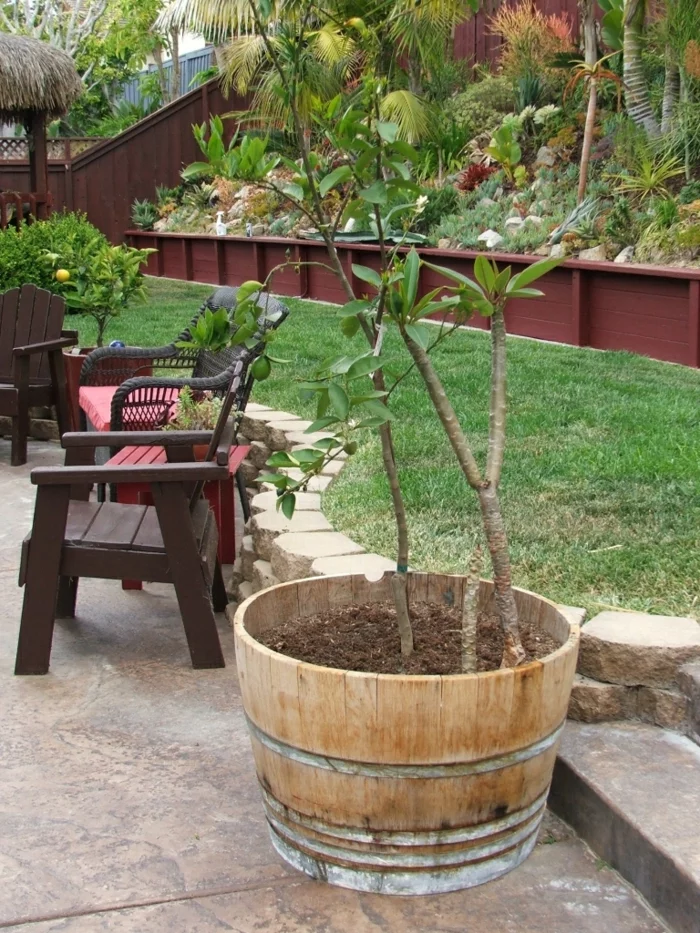 Gartengestaltung Ideen - Erholungsecke mit Gartenstühlen und Topfpflanzen