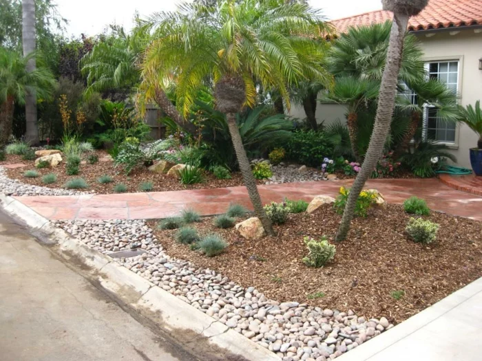 Vorgarten mit Gartenweg aus Stein und Palmen