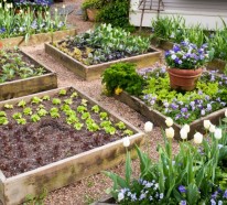 Hochbeete – Ideen für Ihre Gartengestaltung im Frühling