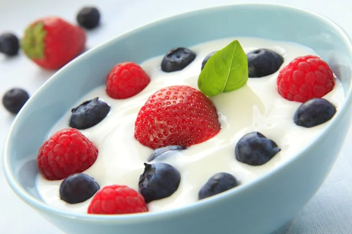 basische ernährung erkältung schnupfen prbiotisch joghurt