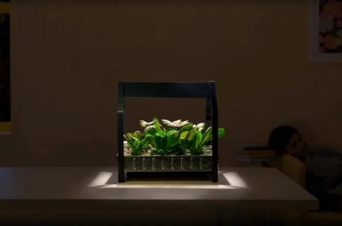 ikea garten indoor salat licht