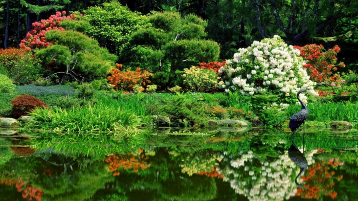 japanischer garten parkt eich grüne vegetation fernöstlich rhododendronen