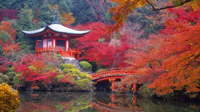 japanischer garten park wald herbst asiatische architektur tempel