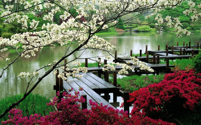 japanischer garten see park blühende bäume sträucher