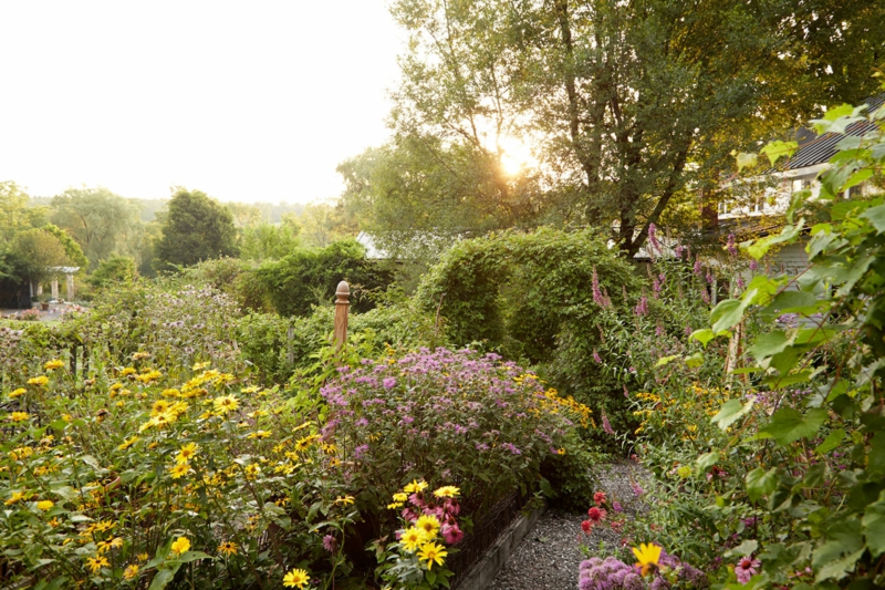 kreative Gartenideen Haus üppige Gartenpflanzen Sommer Gartenatrbeit