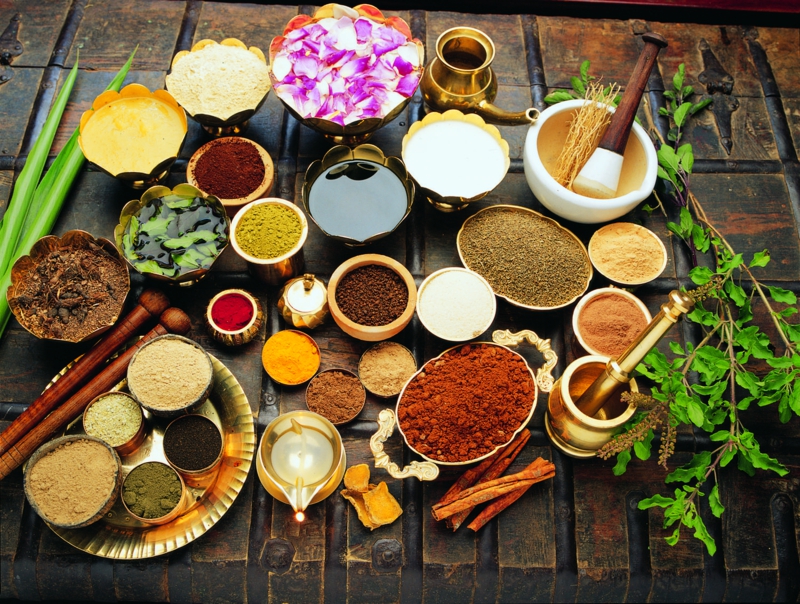 Ayurveda Ernährung ayurvedische Gerichte indische Gewürze