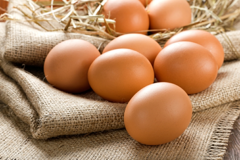 Lebensmittel die fett verbrennen Eier gesunde Ernährung
