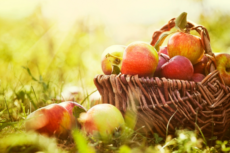 Lebensmittel die fett verbrennen Äpfel gesunde Ernährung Obst und Gemüse