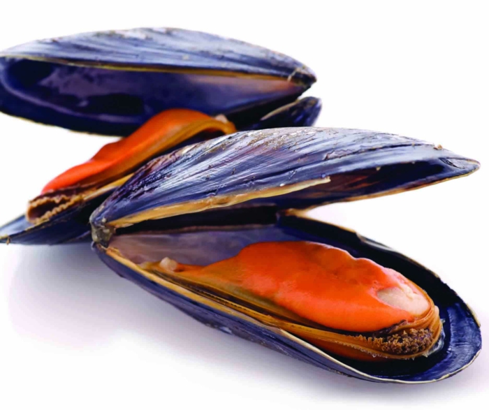 Wie kann man Muscheln kochen und genießen?