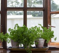 Fensterbank Dekoration – 57 Ideen, wie Sie das Potenzial der Fensterbank entdecken