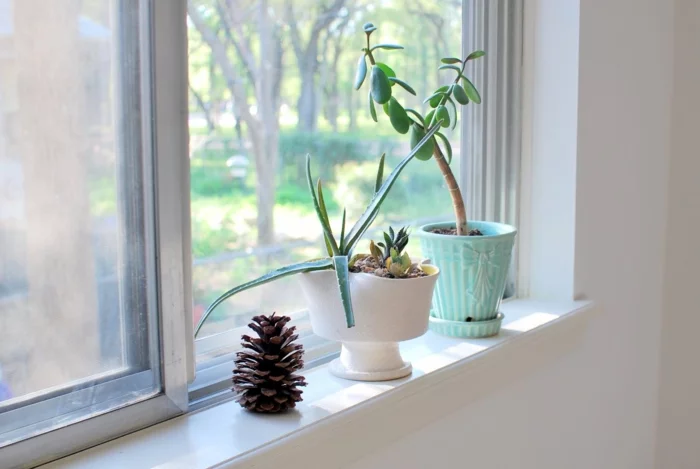 Fensterbank Dekoration mit Topfpflanzen und Zapfen