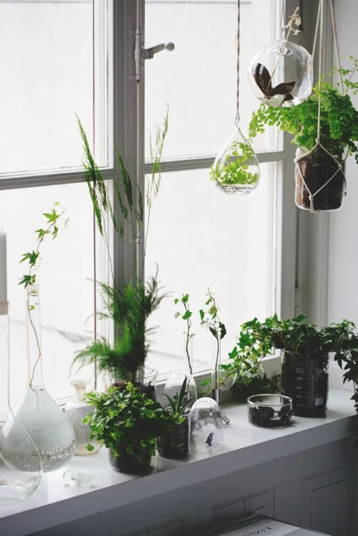 Fensterbank Dekoration mit Topf- und Hängepflanzen