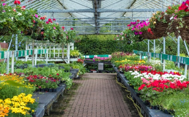 Garten & Pflanzen - über 1000 Ideen für Gartengestaltung und