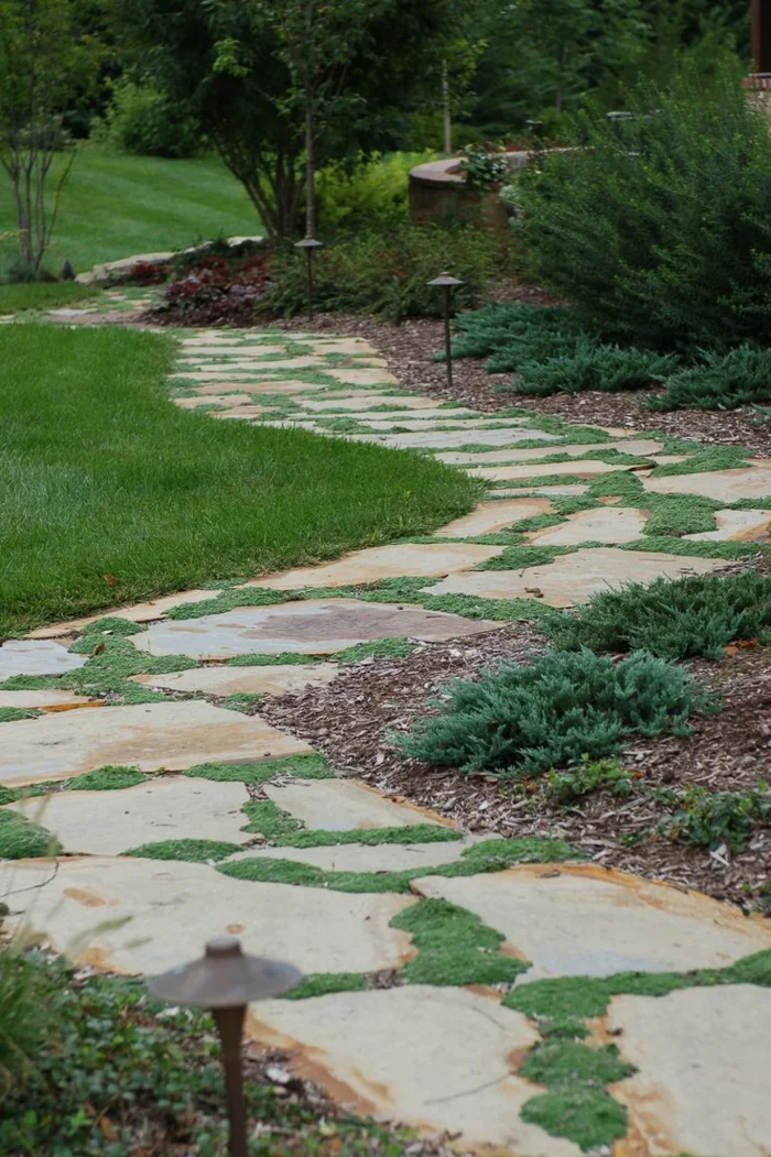 schlichter Gartenweg aus Steinplatten mit Gras in den Fugen