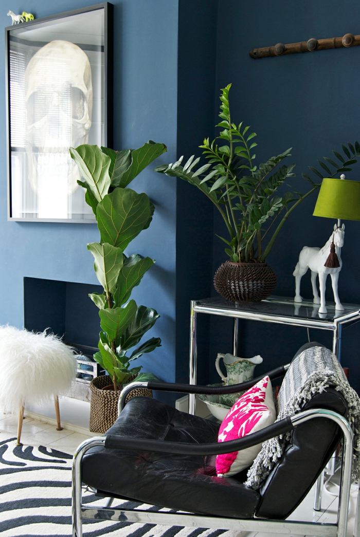 innenpflanzen wohnideen wohnzimmer zebra teppich blaue wandfarbe