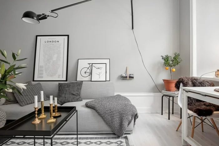 sofa grau couchtisch pflanzen wohnzimmer