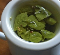 Tee gesund – Die gesündesten Tees der Welt