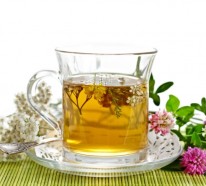 Tee zubereiten – Welche Tees lohnt es sich zu probieren?