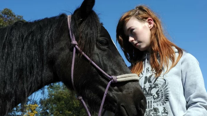 therapeutisches reiten vertrauen aufbauen verstehen pferdchen hoffnung band schwierige teenagers