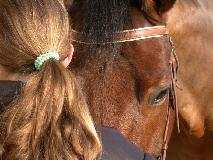 therapeutisches reiten vertrauen aufbauen verstehen pferdchen hoffnung band