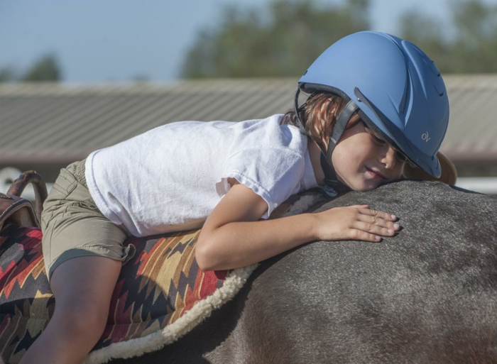therapeutisches reiten vertrauen aufbauen verstehen pferdchen hoffnung band stark